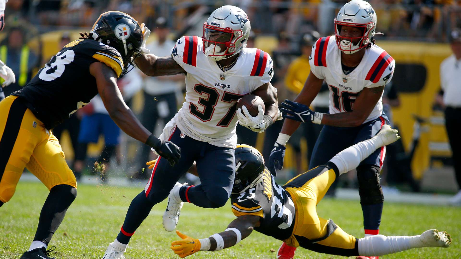 的看重以及 的看重以及