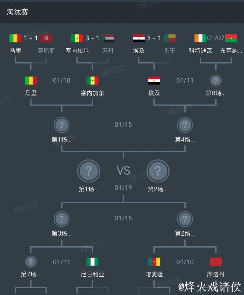 非洲杯：埃及、尼日利亚晋级八强